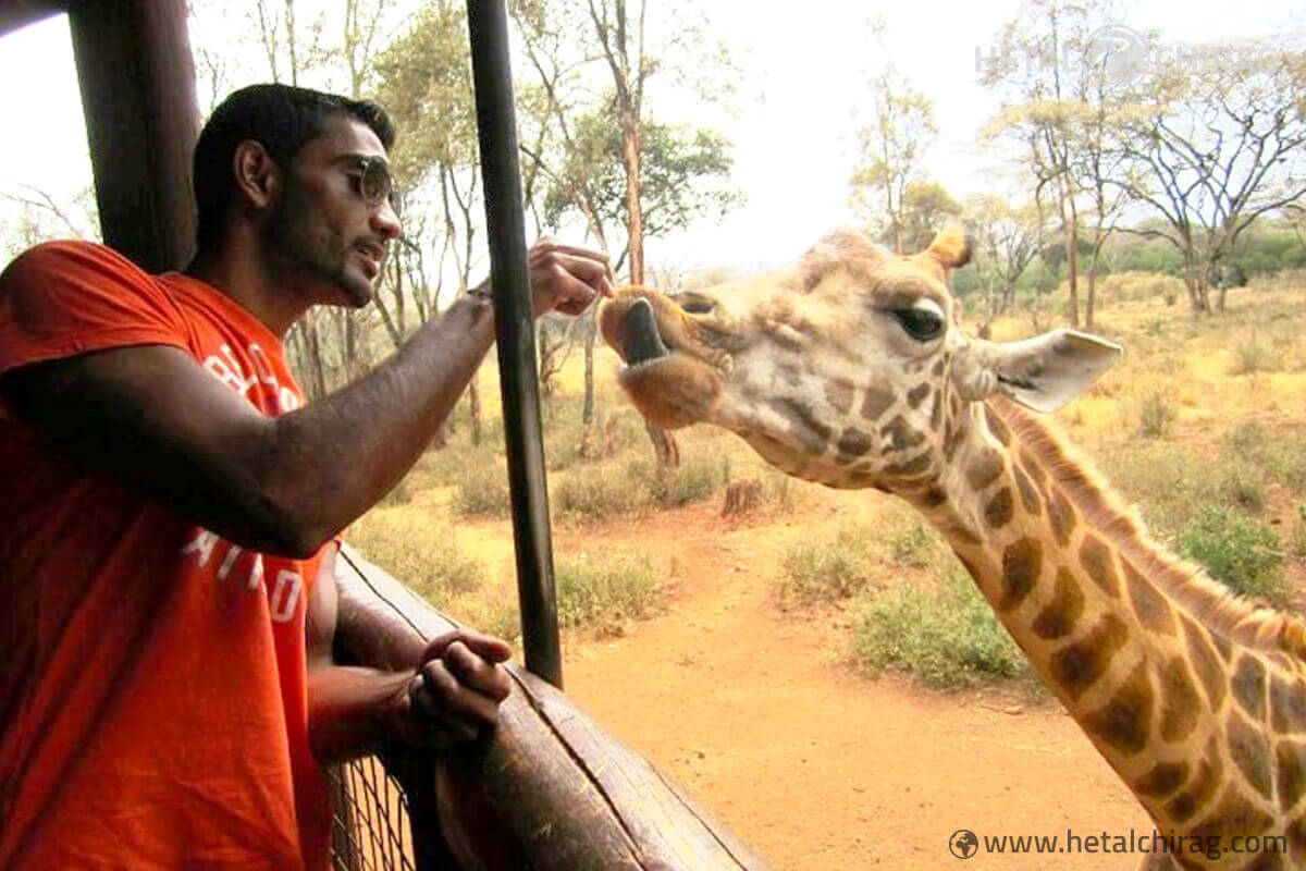 Fun time with the giraffes | Chirag Virani | Hetal Virani