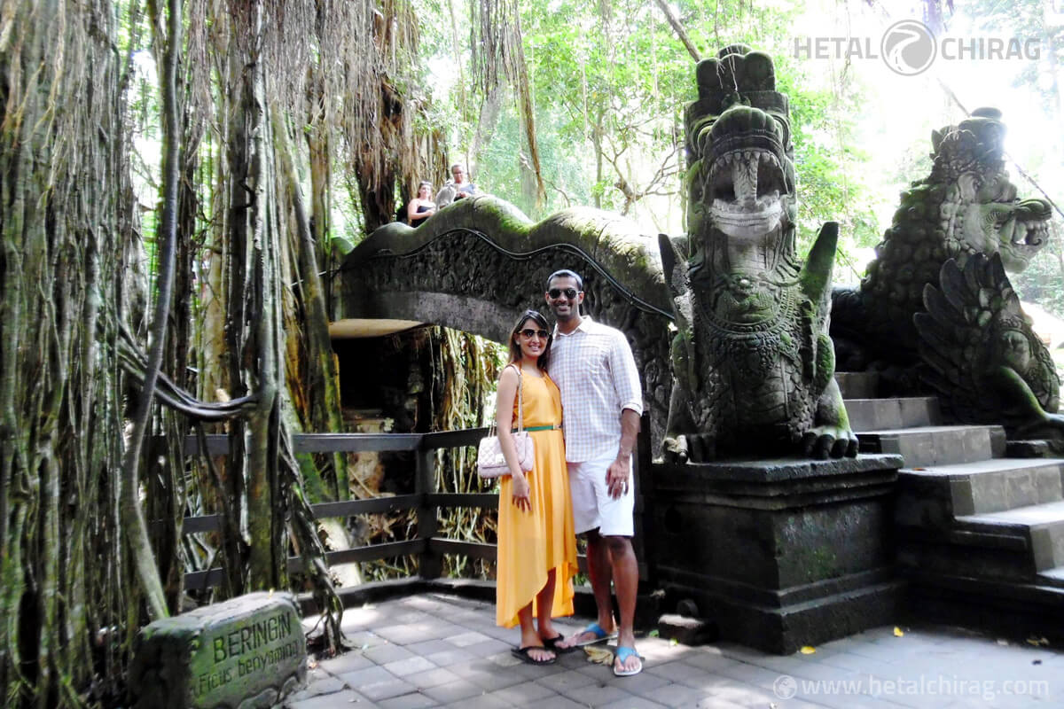 Ubud-Monkey-Forest,-Bali,-Indonesia | Chirag Virani | Hetal Virani