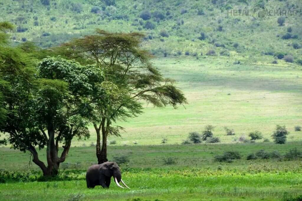 Lake-Manyara-National-Park,-Tanzania | Chirag Virani | Hetal Virani