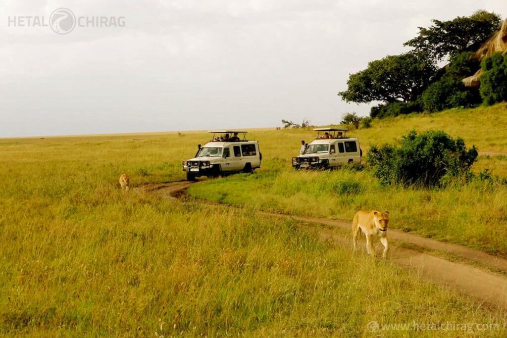 Lake-Manyara-National-Park,-Tanzania | Chirag Virani | Hetal Virani