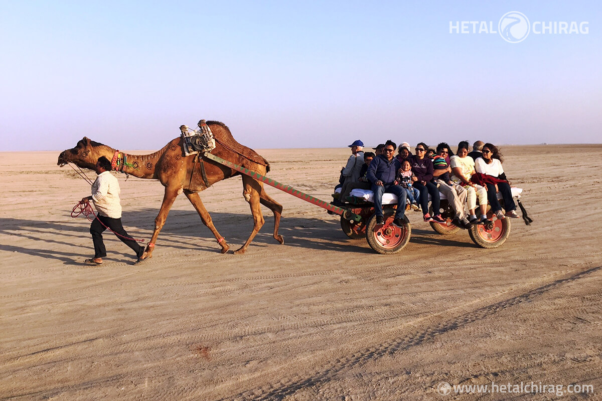 Exciting camel cart ride at Tent City in Kutch | Chirag Virani | Hetal Virani