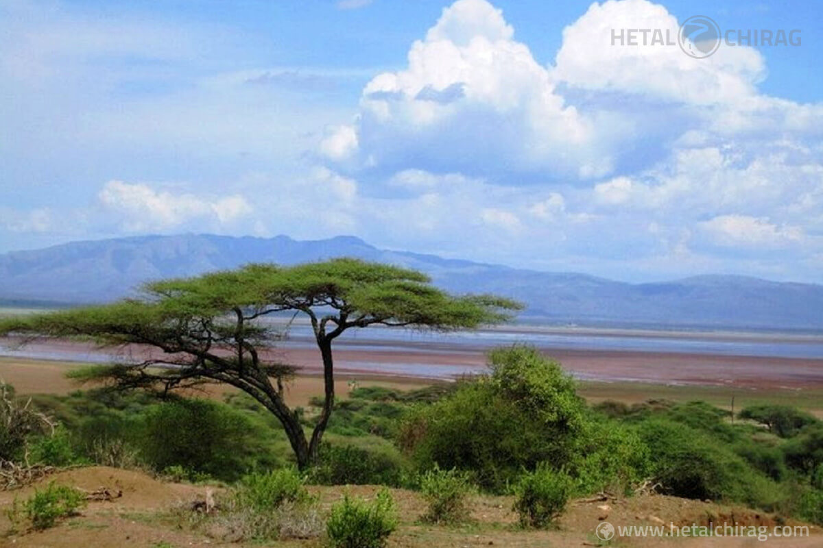 Lake Manyara National Park, Tanzania
